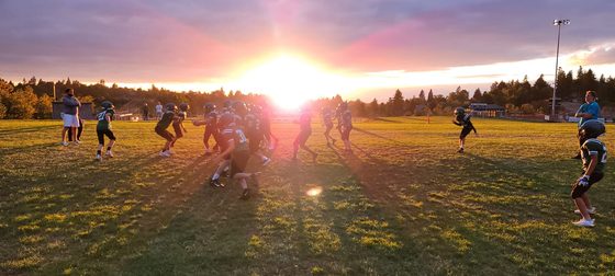A sunburst spilling over a green field at golden hour.