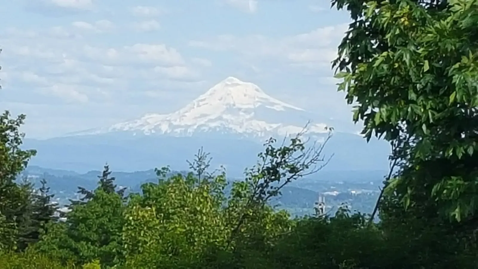 A snow-covered peak rising above a band of green treetops under a hazy sky.
