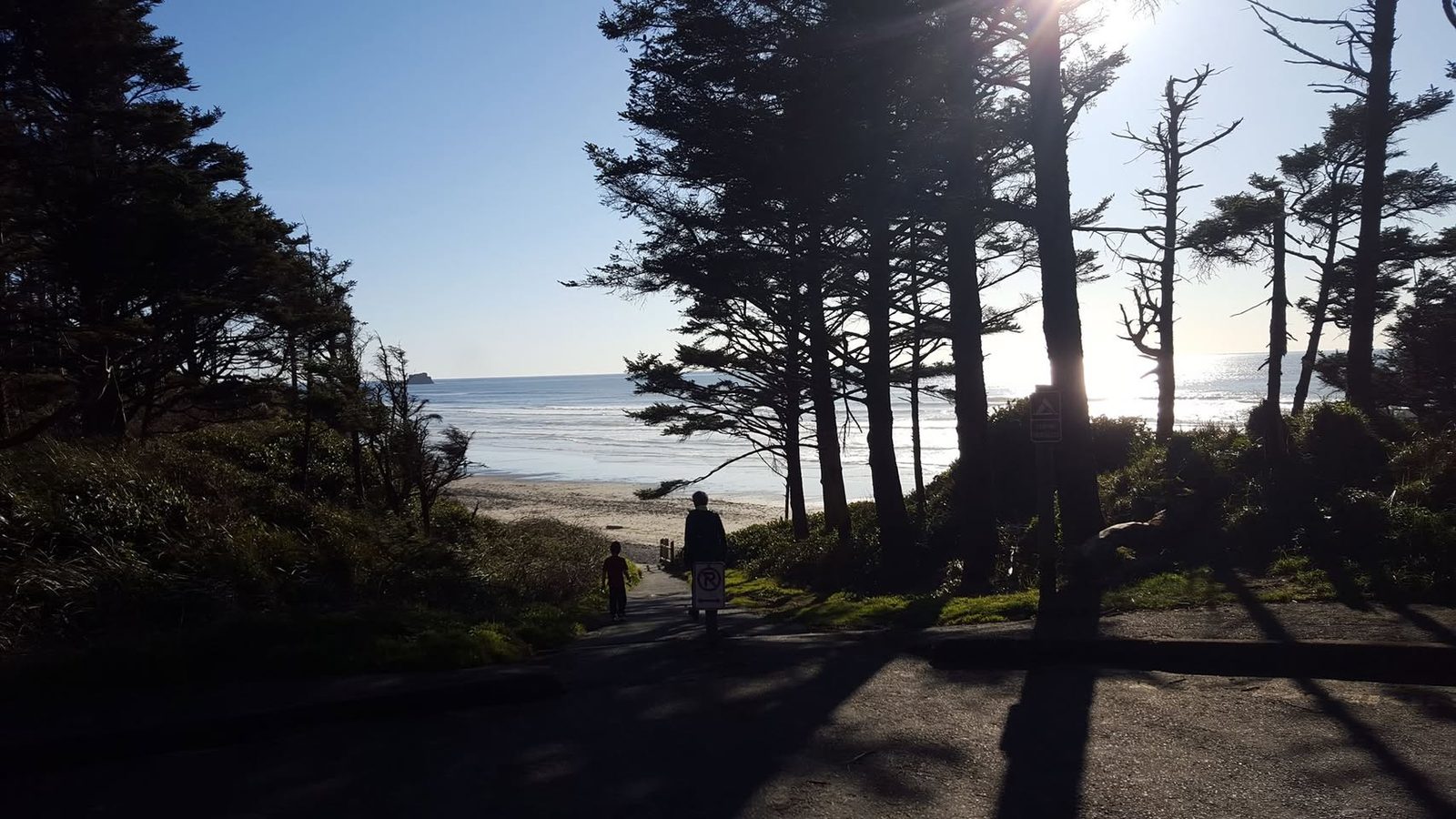Pacific Northwest coastline with sea stacks, cliffs and surf.
