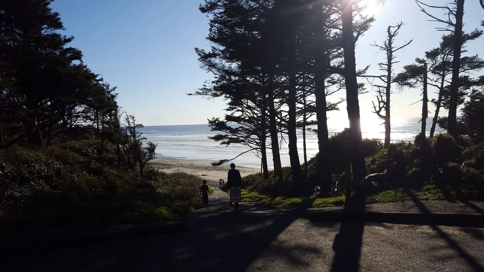 A shaded path through shore pines opening onto a wide beach, with two people walking toward the surf.
