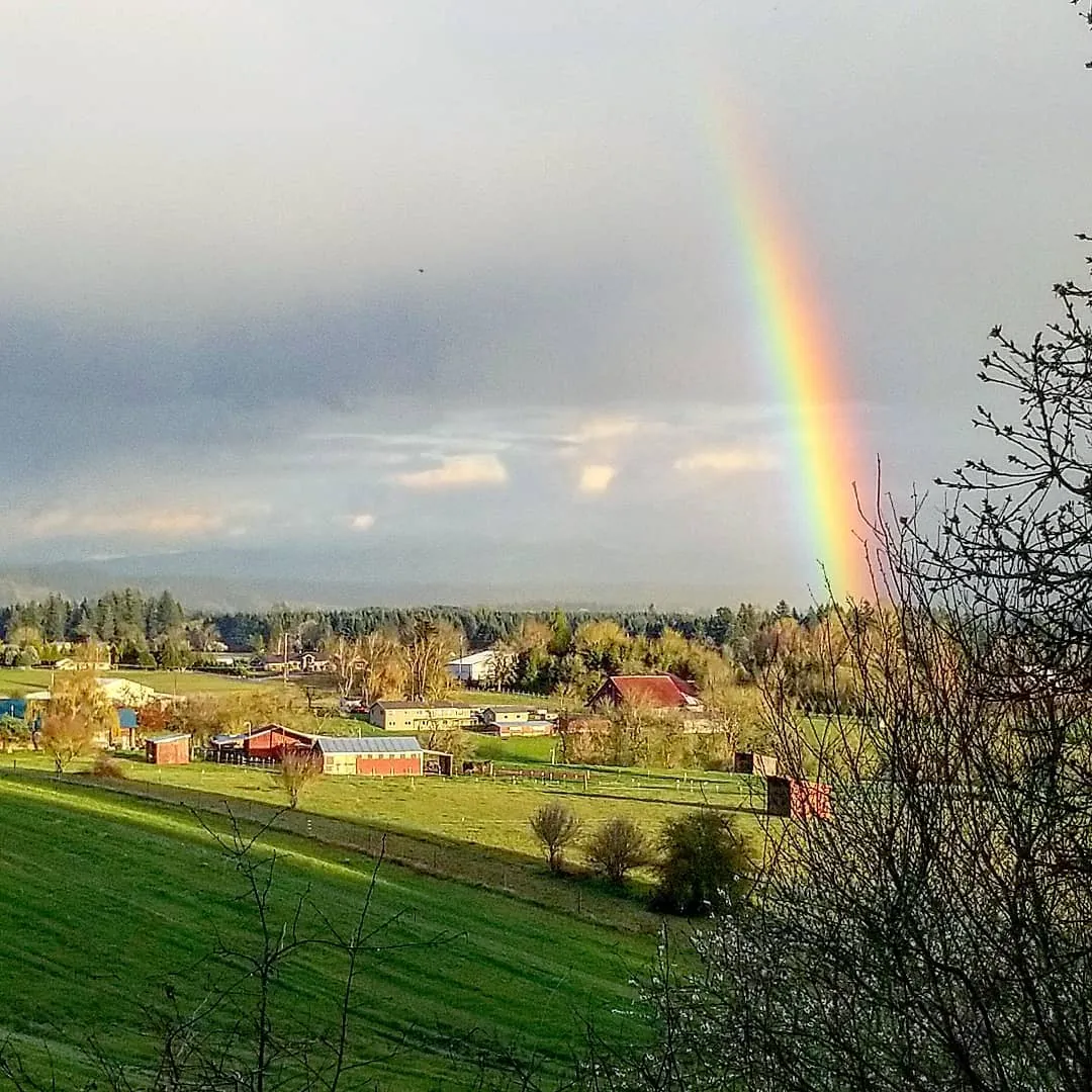 A rainbow ending in green farmland with red barns and a line of fir trees.