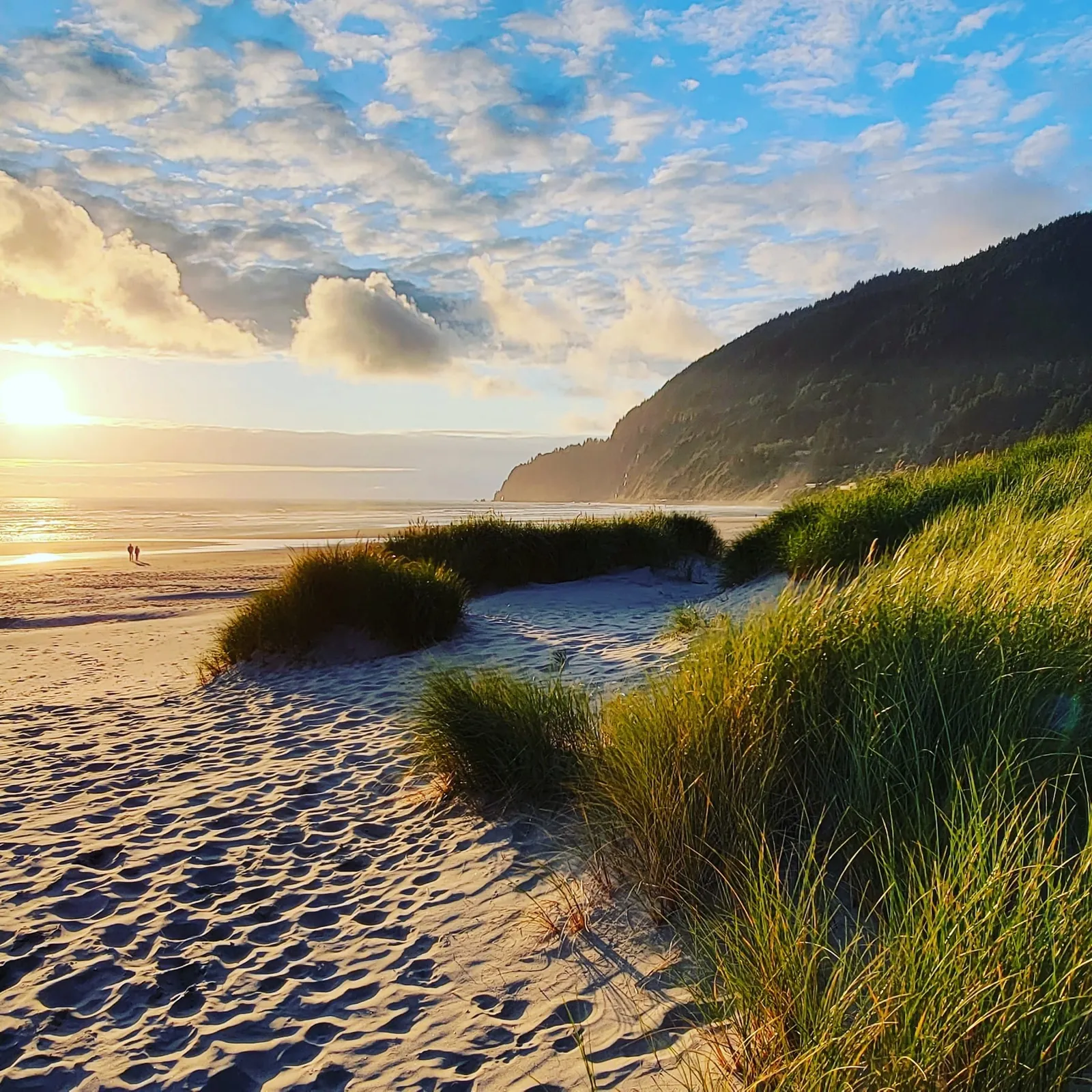 Low evening sun over the ocean at a beach of grassy dunes, with a forested headland beyond and two distant walkers on the sand.
